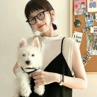 追风筝的人